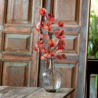 Pre Order Autumnal Boston Ivy Stem