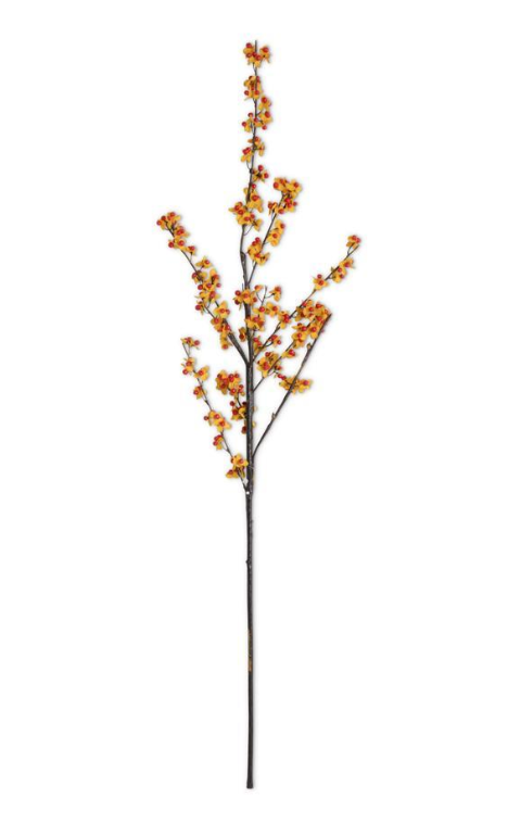 40" Orange & Yellow Bittersweet Branch