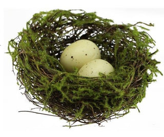 4" Angelvine Flocking Bird Nest with Eggs