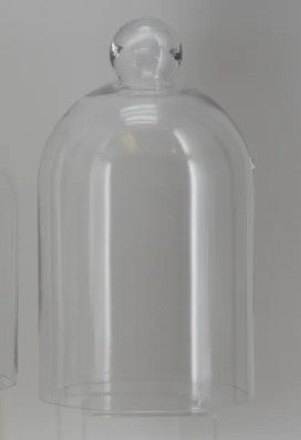 Glass Cloche Bell Jar, 2 Size Options