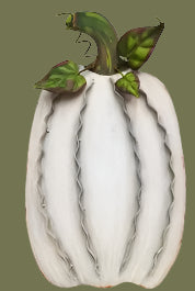 Ribbon Pumpkin, Style & Size Options