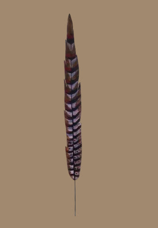 27"L Faux Pheasant Feather w/Wire