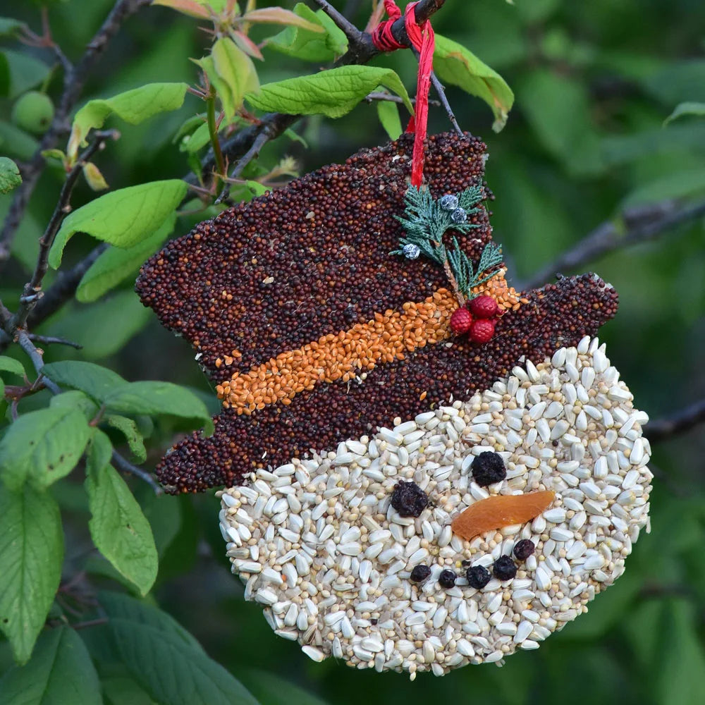 Frosty Bird Seed Christmas Cookie