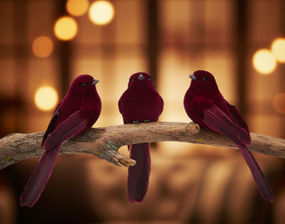 Set of 12  Assorted Style Burgundy Birds w/ Clip