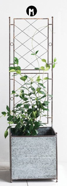 Pre Order Galvanized Metal Planter with Trellis, 2 Size Options