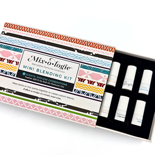 Mini Blending Kit by Mixologie