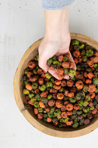 Pre Order Bag of Orange & Green Putka Pods