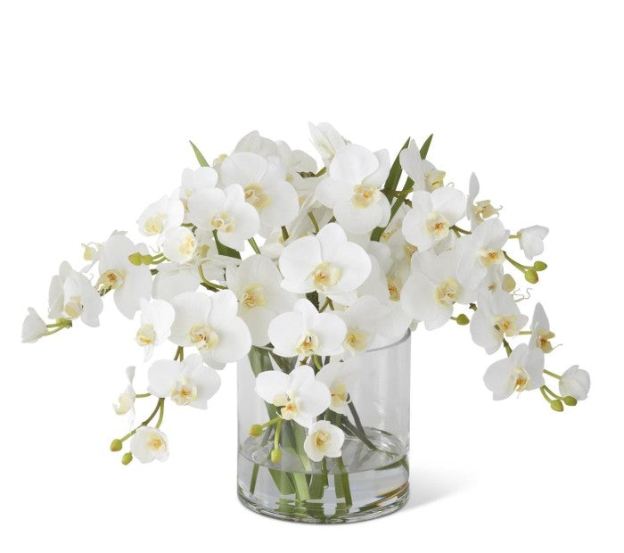 16" White Orchid in Glass Vase with Faux Water