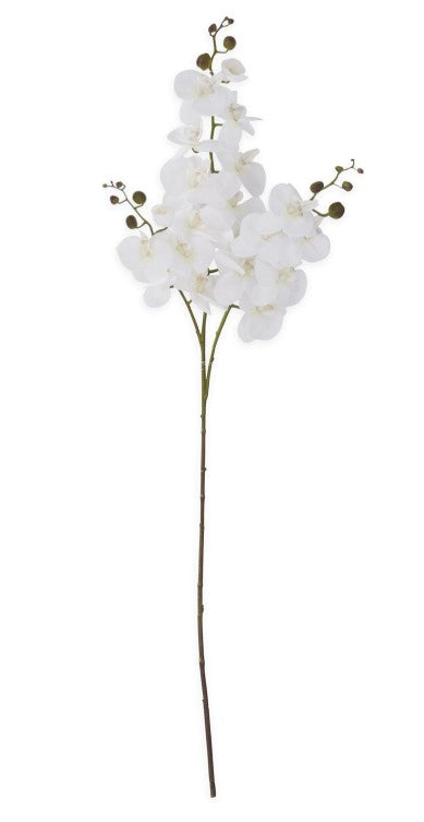 47" Orchid Spray, Color Options