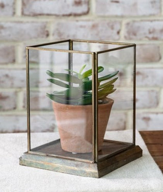 7.5" Aged Antique Glass Displayer