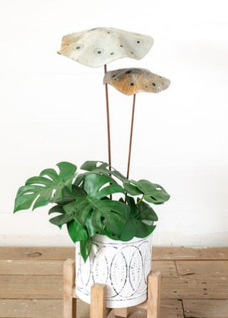Set of 2 Rustic Mushroom Stakes