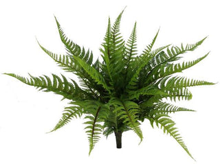 16"L Wild Fern Bush