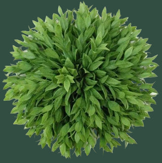 Half Round Ruscus Ball