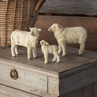 Pre Order Set of 3 Sheep Family Flock