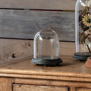 Pre Order (AUG) Small Display Dome w/ Weathered Base