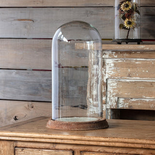 Pre Order Estate Glass Display Dome w/ Weathered Base