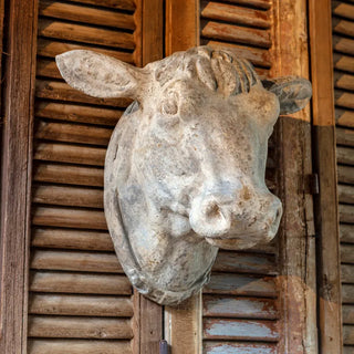 Pre Order (AUG) Decorative Weathered Cow's Head