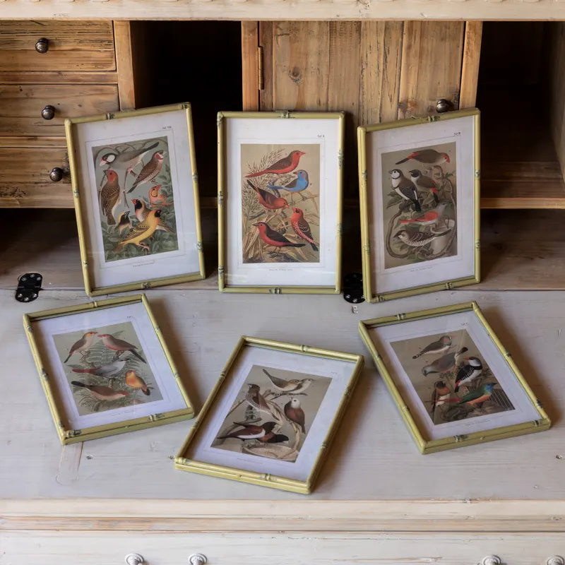 Song Bird Prints in Faux Bamboo Frame, Style Options