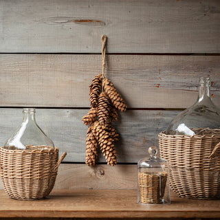 Dried Luffa Stem Bunch