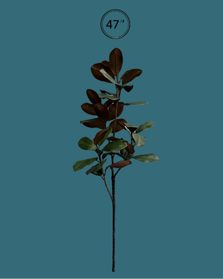Pre Order Old Southern Magnolia Bough, 2 Size Options