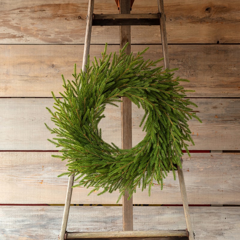 Norway Spruce Wreath, Size Options