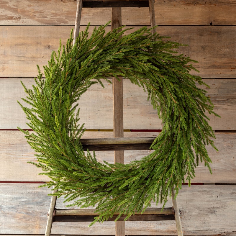 Norway Spruce Wreath, Size Options