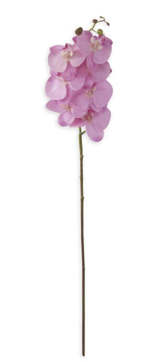 34.5" Purple Orchid Stem