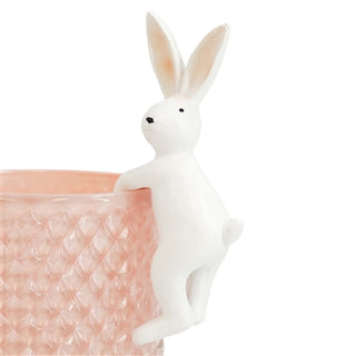 Bunny Planter Rim Hanger