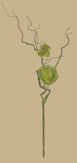 36" Twig Vine with 2 Bird's Nests