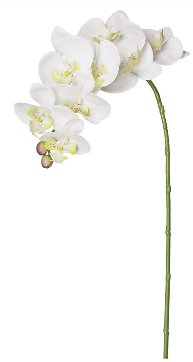 35.8" Natural Touch Phalaenopsis Orchid, Natural Touch