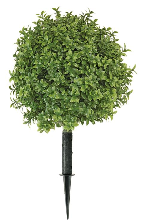 Boxwood Tree with Stake, Size Options