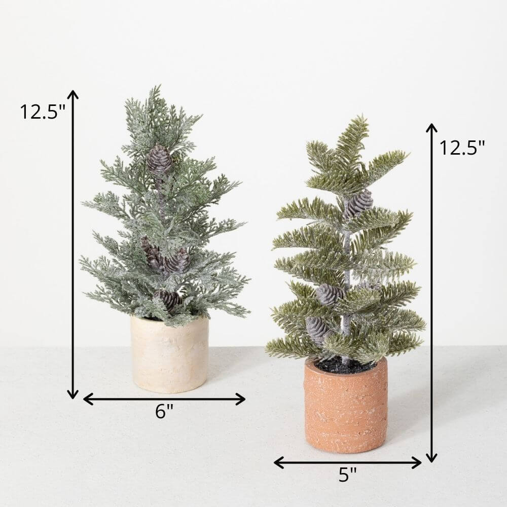 Potted Pine Tree, Color Options