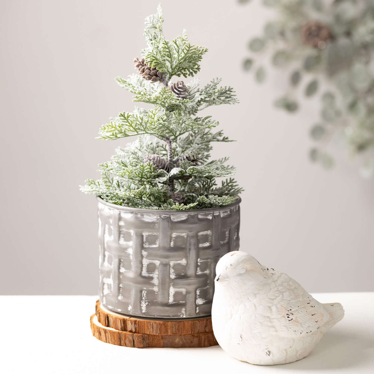 Potted Pine Tree, Color Options