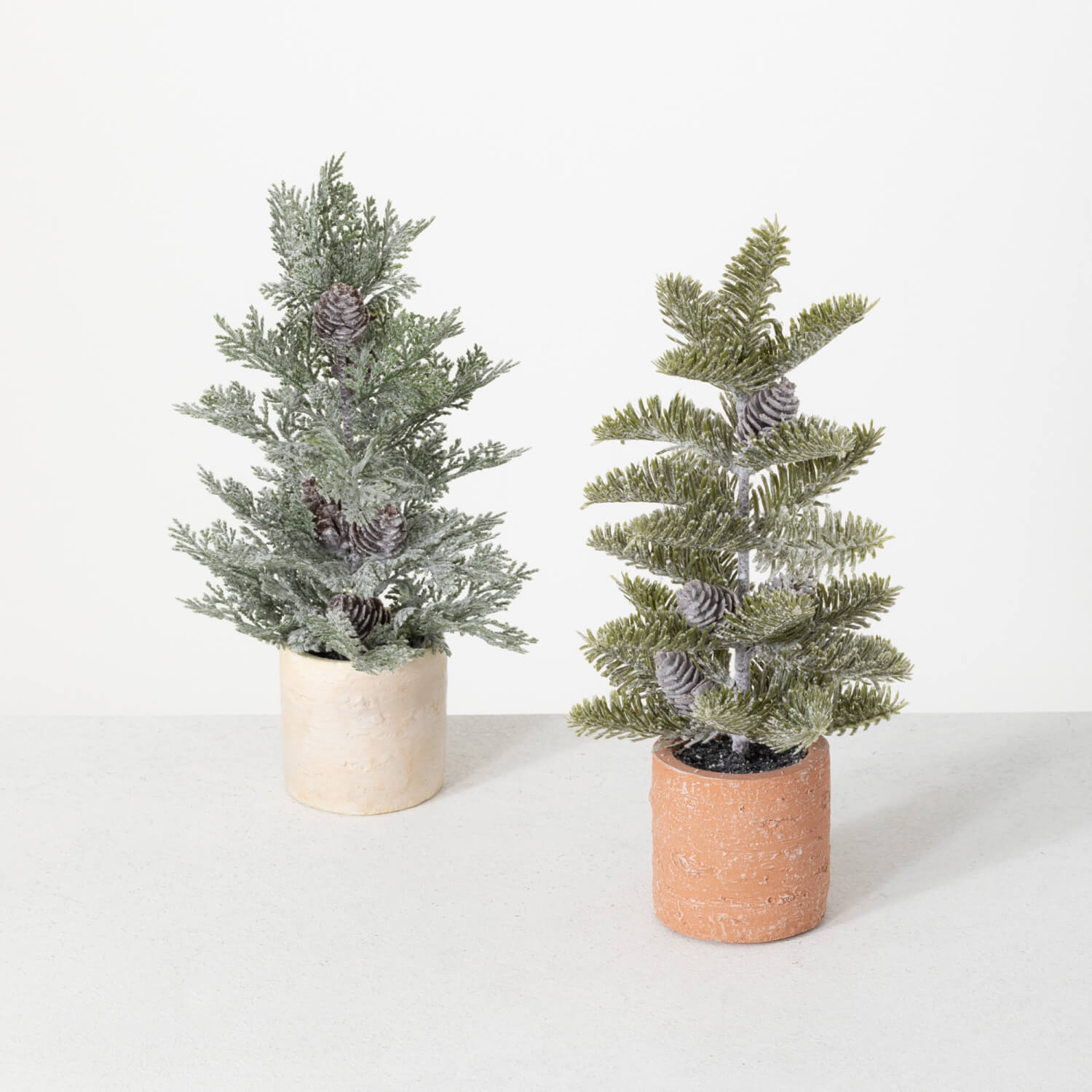 Potted Pine Tree, Color Options