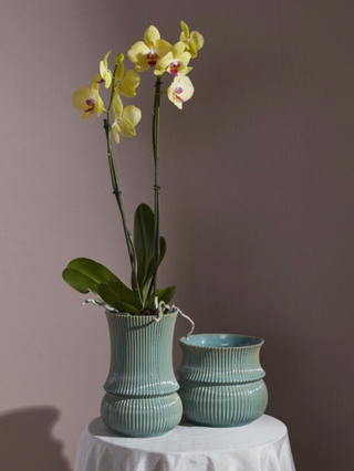 Veranda Collection, 2 Style Options