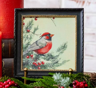 Framed Cardinal Photo