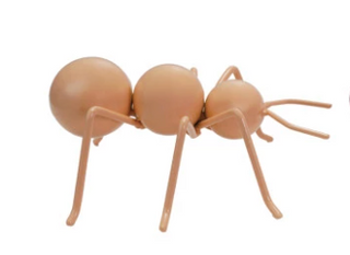 Metal Ant, 4 Color Options