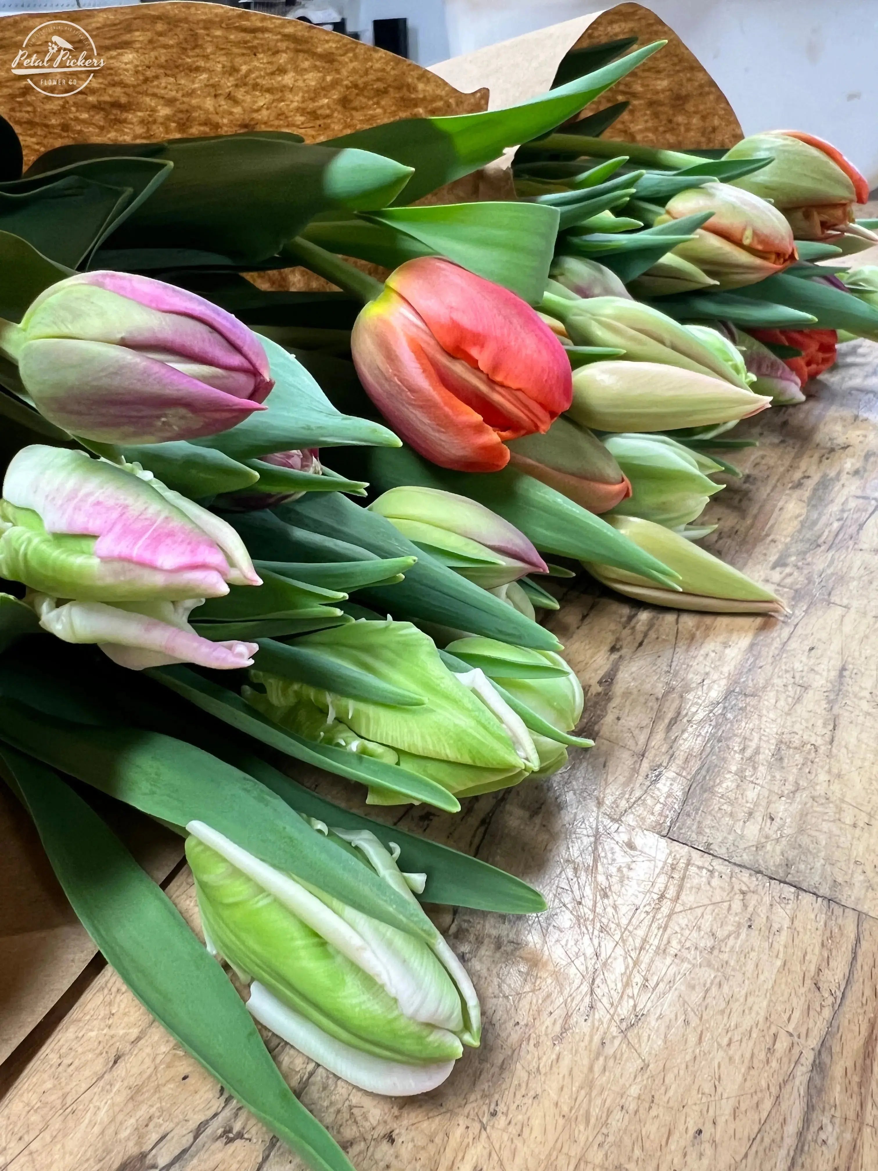 Fresh Cut Specialty Tulips From Petal Pickers