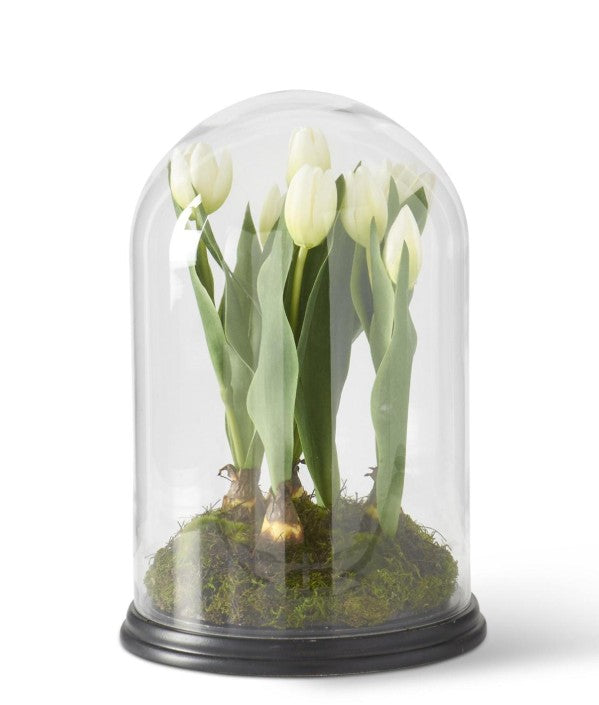 16" White Tulip in Glass Cloche