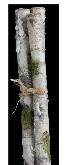 Birch Log Bundle