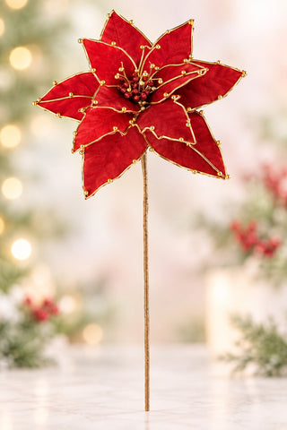 21" Red Velvet Poinsettia Stem w/ Gold Trim