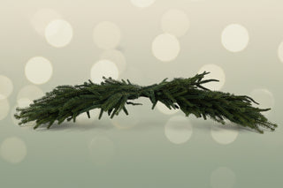 26"L Willow & Norfolk Pine Swag