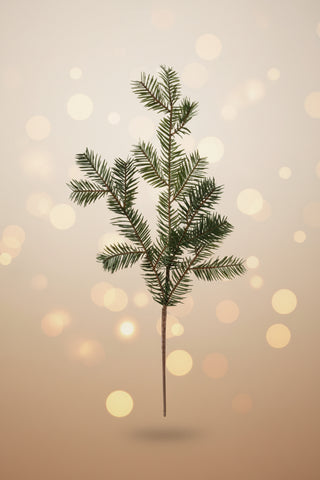 23.5"L Balsam Pine Spray