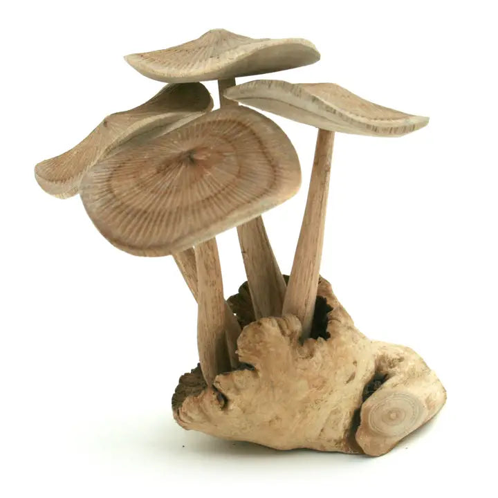 Four Wood Mushrooms On Driftwood