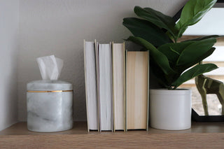 Pre Order The Willow Tissue Vessel