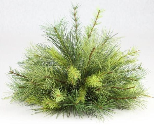 Green Appalachian Pine Ball, Size Options