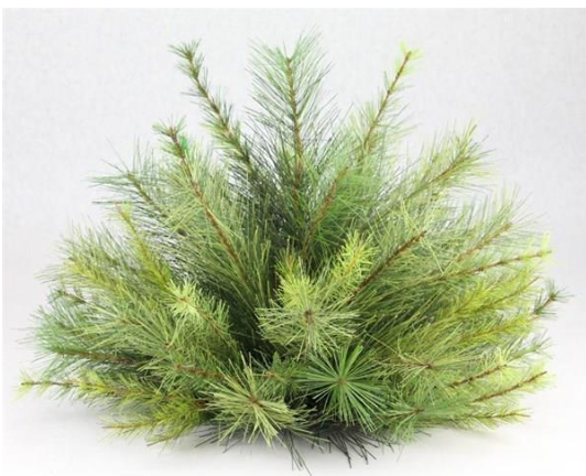 Green Appalachian Pine Ball, Size Options