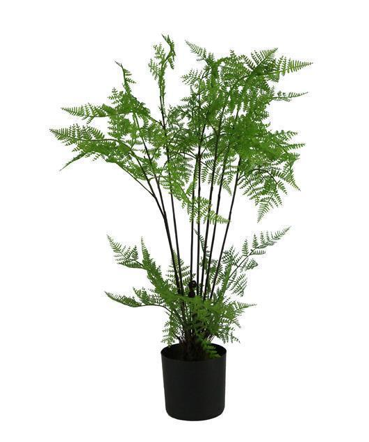 31"h Potted Fern Plant