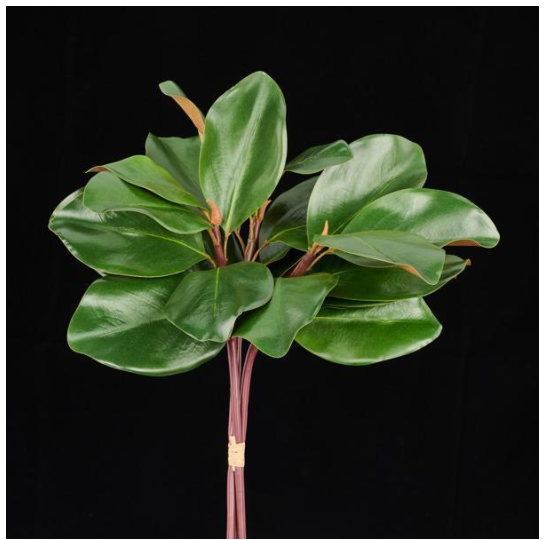 18"L Green Magnolia Leaf Bundle