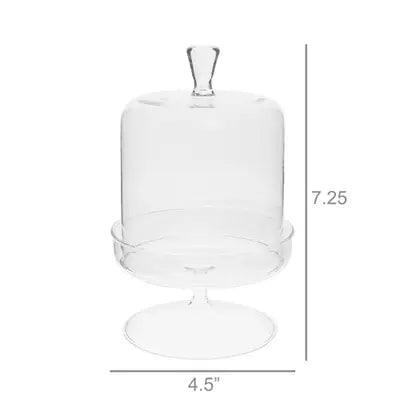 Vera Glass Dome with Pedestal